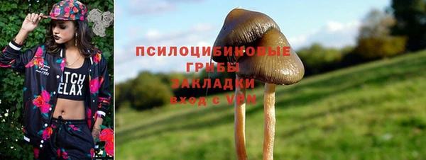 ECSTASY Алексеевка