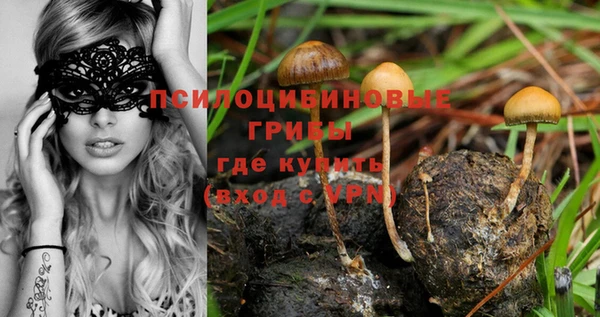 PSILOCYBIN Алзамай