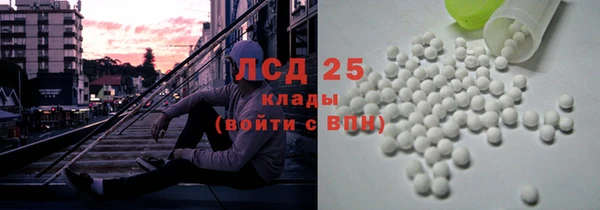 гидра Алексин