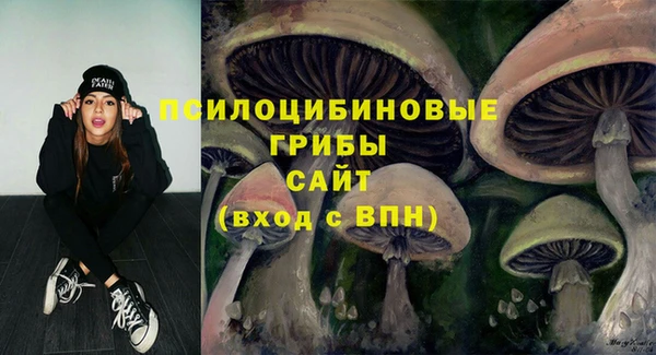 PSILOCYBIN Алзамай