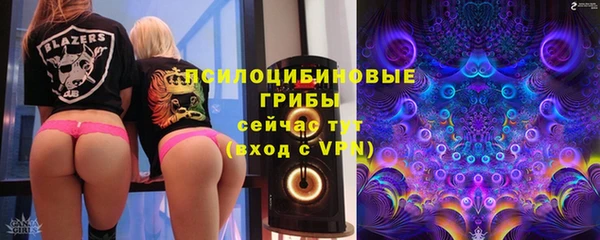 гидра Алексин