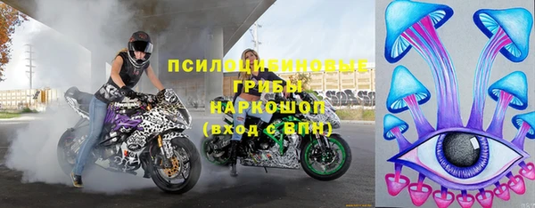 гидра Алексин