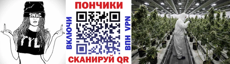 Канабис ГИДРОПОН Печоры
